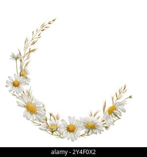 Fiori di camomilla bianca gemme, fiori secchi come simbolo di purezza, innocenza, amore, fedeltà. Clipart acquerello su sfondo trasparente per Foto Stock