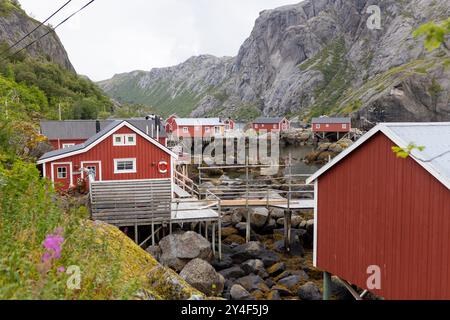 Tipiche cabine di pesca Rourbuer nel villaggio di Lofoten Nusfjord in una giornata piovosa, in estate. Tradizionale casa norvegese di legno rosso Foto Stock