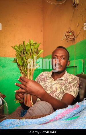 Gibuti: Una donna velata che vende khat, nascosta dietro due mazzi di foglie di khat. Il commercio di khat e il suo consumo sono costantemente in aumento, AN Foto Stock