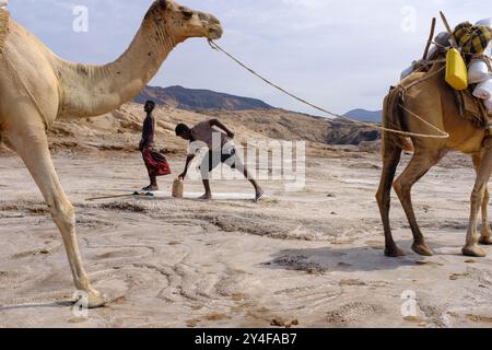 Gibuti, lago Assal: Lago salino che si trova a 155 m (509 piedi) sotto il livello del mare nel Triangolo di Afar, il che lo rende il punto più basso sulla terra in Africa e nel Foto Stock