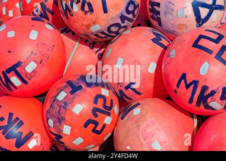 Primo piano di vecchie boe di plastica per gabbie di granchio a terra. Foto Stock