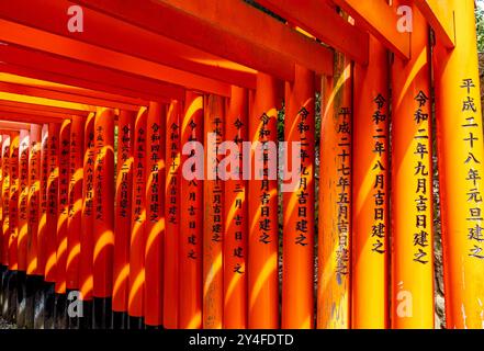 Porte torii, santuario di Fushimi Inari-Taisha, Kyoto, Giappone Foto Stock
