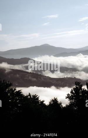 Misty Morning sopra Rolling Mountain Foto Stock