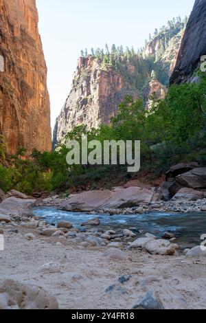 Una splendida vista del fiume Virgin e delle rocce rosse giù nella valle di Zion. Foto Stock