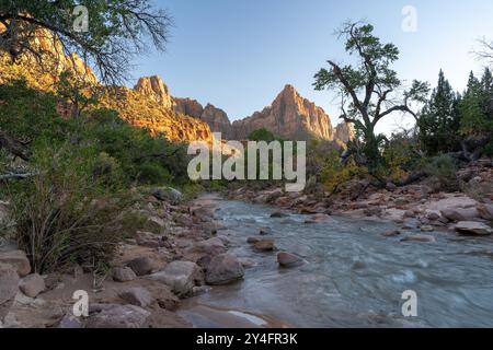 Una splendida vista del fiume Virgin e delle rocce rosse giù nella valle di Zion. Foto Stock