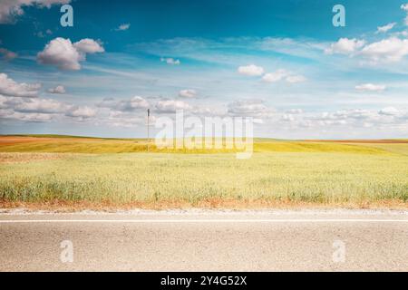 Immergiti nella tranquilla distesa di campi lussureggianti sotto un cielo blu vibrante, catturando l'essenza di paesaggi aperti e tranquilli. Foto Stock