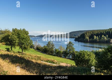 Barche a vela sul lago Schluchsee, Foresta Nera, Baden-Wuerttemberg, Germania Foto Stock