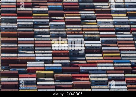 Centinaia di contenitori colorati sono allineati nel porto di Maasvlakte a Rotterdam per il trasbordo. I contenitori di Maersk, Hamburger Sud, APL, APM sono caratterizzati da un bel motivo e sono molto colorati. paesi bassi out - belgio out Foto Stock