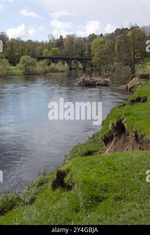 Viadotto ferroviario ora un sentiero pedonale e un sentiero nuziale che attraversa il fiume Lune al Crook di Lune vicino Lancaster Lancashire Inghilterra Foto Stock