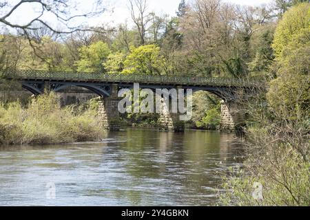 Viadotto ferroviario ora un sentiero pedonale e un sentiero nuziale che attraversa il fiume Lune al Crook di Lune vicino Lancaster Lancashire Inghilterra Foto Stock