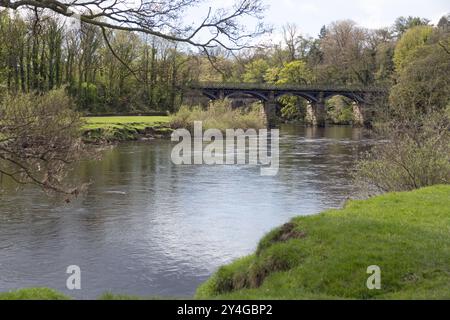 Viadotto ferroviario ora un sentiero pedonale e un sentiero nuziale che attraversa il fiume Lune al Crook di Lune vicino Lancaster Lancashire Inghilterra Foto Stock