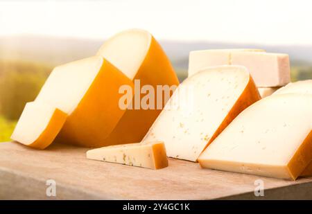 Selezione di formaggi: Formaggi serviti su un piatto di legno, primo piano in un ambiente rurale. Il formaggio è ricco di proteine e un tipo di prodotto lattiero-caseario prodotto in Foto Stock