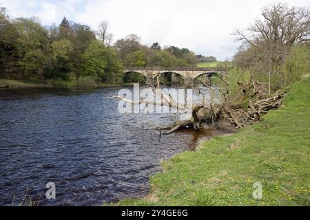 Ponte che attraversa il fiume Lune al Crook di Lune vicino Lancaster Lancashire Inghilterra Foto Stock