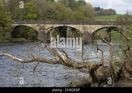 Ponte che attraversa il fiume Lune al Crook di Lune vicino Lancaster Lancashire Inghilterra Foto Stock