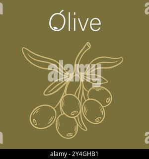 Ramoscello con olive mature trafilate a mano. Stile di schizzo Olive Doodle. Cibo biologico sano, grafica vettoriale Illustrazione Vettoriale