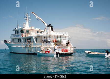 Una carta nave da pesca in base fuori di Gladstone su acque calme di Swains Reef sulla estremità meridionale della Grande Barriera Corallina. Foto Stock