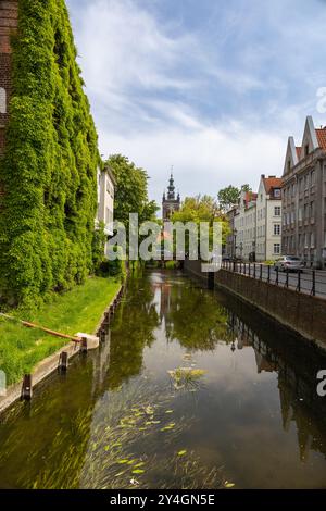 Vista panoramica sul canale con vegetazione lussureggiante e la torreggiante torre dell'orologio della chiesa di Santa Caterina a Danzica, in Polonia, in una giornata tranquilla. Foto Stock