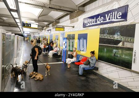 DOG WALKER NELLA METROPOLITANA PARIGINA Foto Stock