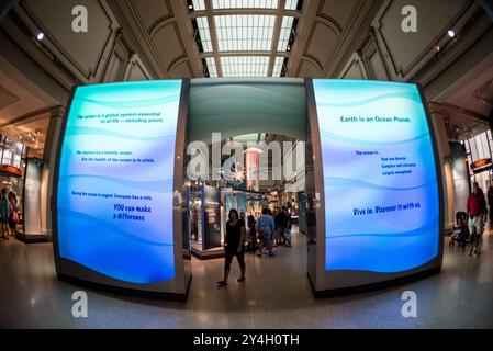 Museo nazionale di storia naturale Sant Ocean Hall Washington DC // WASHINGTON DC - la Sant Ocean Hall presso lo Smithsonian National Museum of Natural History sul National Mall. Questa grande mostra di 000 metri quadrati mette in mostra le vaste collezioni marine del museo, con una replica lunga 45 metri di una balena destra dell'Atlantico settentrionale, un modello di calamaro gigante e mostre interattive che esplorano gli ecosistemi oceanici dalla superficie al mare profondo. Foto Stock