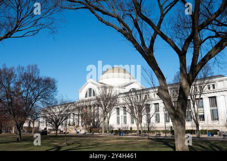 Smithsonian National Museum of Natural History Exterior Washington D.C. // WASHINGTON D.C. — l'esterno dello Smithsonian National Museum of Natural History sul National Mall. Il museo, inaugurato nel 1910, ospita una delle più grandi collezioni di storia naturale del mondo, con oltre 145 milioni di esemplari e manufatti. L'edificio neoclassico è stato progettato dallo studio di architettura Hornblower & Marshall e presenta una caratteristica cupola verde. Il museo fa parte dello Smithsonian Institution, il più grande museo e complesso di ricerca del mondo. Situato sul National Mall tra la nona e la 12t. Foto Stock
