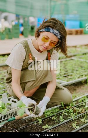 Donna che semina piantine in serra, indossa guanti protettivi e velo mentre si concentra sul lavoro. Giovane giardiniere che nutre piante in giardino Foto Stock