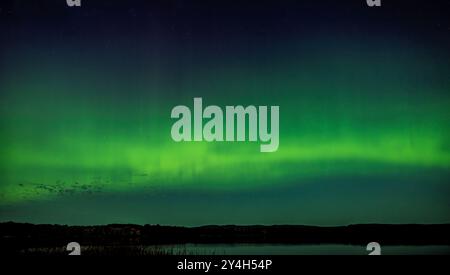 L'aurora boreale verde (Aurora Boreale) illumina il cielo in una bella e calda notte estiva nei pressi di Ottawa, Canada, 16 settembre 2024 Foto Stock