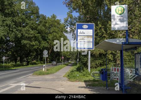 Confine verde, frontiera che attraversa Siebengewald-Gaesdonck, a sud di Goch, senza controlli, tra Paesi Bassi e Germania, segnale di confine sbiadito, R settentrionale Foto Stock