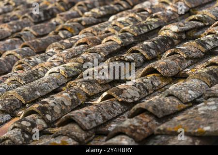 Vecchie tegole, tetto, vecchio, muschio, consistenza, sfondo, grafica, edilizia, fatiscente, superficie, primo piano, Toscana, Italia, Europa Foto Stock