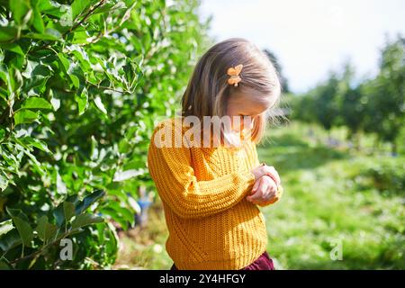 Ragazza in età prescolare che guarda la coccinella strisciando sulla mano e sulle dita Foto Stock