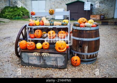 Molte zucche di Halloween in mostra al mercato agricolo in Francia. Varietà di zucche ornamentali in vendita Foto Stock