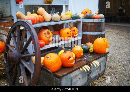 Molte zucche di Halloween in mostra al mercato agricolo in Francia. Varietà di zucche ornamentali in vendita Foto Stock