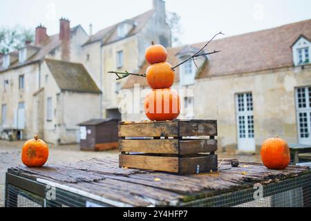 Molte zucche di Halloween in mostra al mercato agricolo in Francia. Varietà di zucche ornamentali in vendita Foto Stock