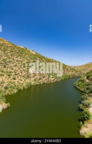 Parque Arqueologico vale do COA (valle COA), sito UNESCO, dipinti di arte rupestre paleolitica, Portogallo settentrionale, Portogallo Foto Stock