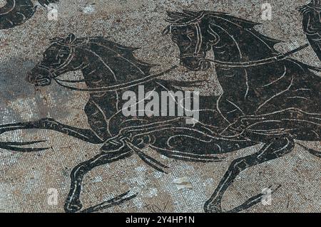 Due dei quattro cavalli di mare o ippocampi in dettaglio dal mosaico di Nettuno nelle Terme di Nettuno a Ostia Antica. Foto Stock