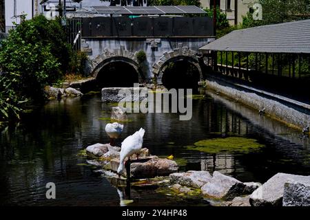 Castello Pandone, lavatoio e laghetto di Venafro, Isernia, Molise, Italia Foto Stock