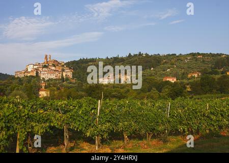 Borgo medievale di Scrofiano, provincia di Arezzo, Toscana, Italia Foto Stock