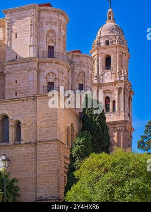 Malaga, Cattedrale Cattolica Romana, Santa María de la Incarnation (Encarnacion.) Vista del Campanile Foto Stock