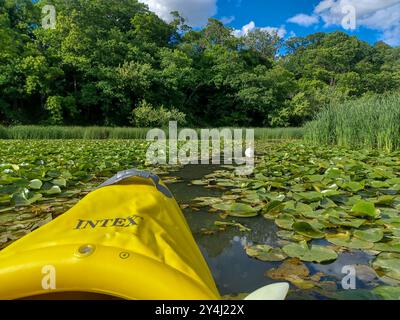 Etobicoke, ON, Canada - 20 giugno 2024: Vista dall'alto della prua di un kayak che si muove lungo il fiume Humber Foto Stock
