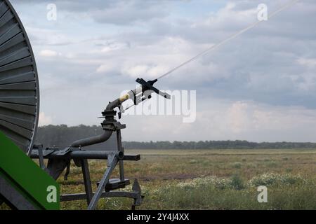Un impianto sprinkler automatico irriga un campo di patate in estate, favorendo l'irrigazione agricola. Foto Stock