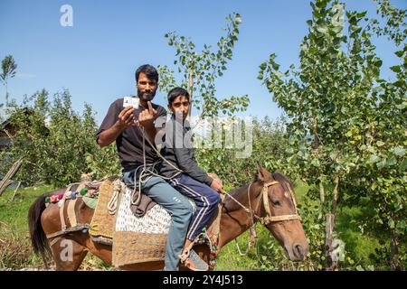 Pulwama, India. 18 settembre 2024. Un uomo di Kashmir mostra la sua carta elettorale e un dito con inchiostro mentre sedeva su un cavallo dopo aver gettato il suo voto in un seggio elettorale durante la prima fase delle elezioni di assemblea a Keller Shopify, a sud di Srinagar. Le votazioni iniziarono in Kashmir nelle sue prime elezioni locali in un decennio e anche per la prima volta da quando nuova Delhi tolse lo status semi-autonomo della regione himalayana nel 2019 e lo portò sotto il dominio diretto. Credito: SOPA Images Limited/Alamy Live News Foto Stock