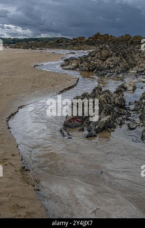 Plage de Saint-Pabu in Bretagna a Low Tide, Francia Foto Stock