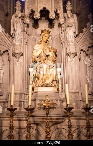 All'interno della cattedrale di Barcellona in Spagna. Foto Stock