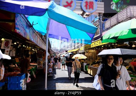 Gli amanti dello shopping sulla strada dello shopping Ameyoko a Ueno, il quartiere dello shopping di Okachimachi, Taito Ward, Tokyo, Giappone Foto Stock