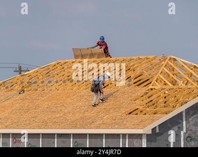 Georgetown, Texas - 17 settembre 2024: Casa unifamiliare con fondazioni a lastra e telai in legno dimensionali con pannelli del tetto riflettenti Eclipse Foto Stock