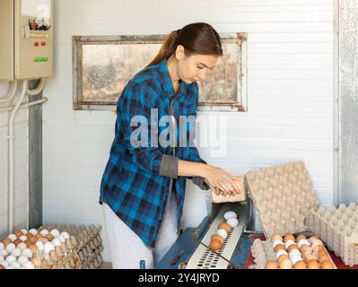 Un'agricoltrice concentrata che cercava e confezionava uova di pollo nell'azienda agricola Foto Stock