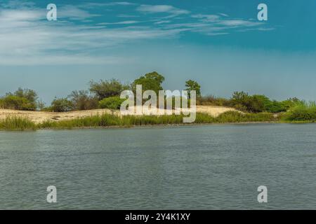 Paesaggio di dune di sabbia sulle rive del fiume Zambesi, Botswana Foto Stock