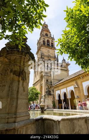 La cattedrale di Cordova a Cordova, in Spagna, conosciuta anche come la grande moschea di Cordova, è un sito patrimonio dell'umanità dell'UNESCO Foto Stock