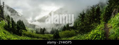 Il Wonderland Trail scende nella valle di Ipsut Creek piena di nebbia nel Mount Rainier National Park Foto Stock