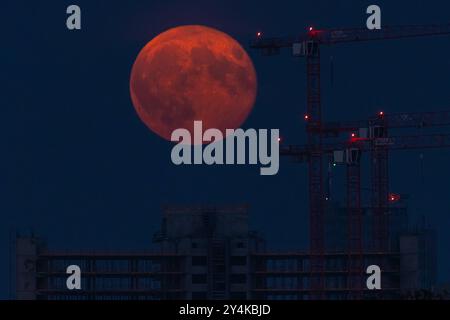 Supermond über Deutschland Der Vollmond zieht über eine Baustelle a Offenbach am Main hinweg. AM 17. e alle 18:00. Settembre 2024 strahlt Jeweils ein Supermond vom Himmel. Nur knapp 357,500 km ist der Vollmond in der Nacht vom 17. auf den 18. Settembre 2024 von der Erde entfernt. Francoforte Assia Germania *** Super luna sopra la Germania la luna piena passa sopra un cantiere di costruzione a Offenbach sul meno il 17 e 18 settembre 2024, una super luna splende dal cielo la luna piena si trova a soli 357.500 chilometri dalla Terra nella notte tra il 17 e il 18 settembre 2024 Francoforte Assia Germania 202 Foto Stock