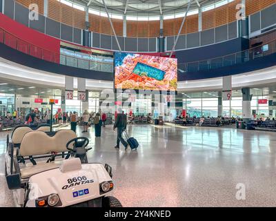 Cancelli di partenza al Terminal Partenze satellite, Aeroporto Kingsford Smith di Sydney, Mascot, Sydney, New South Wales, Australia Foto Stock